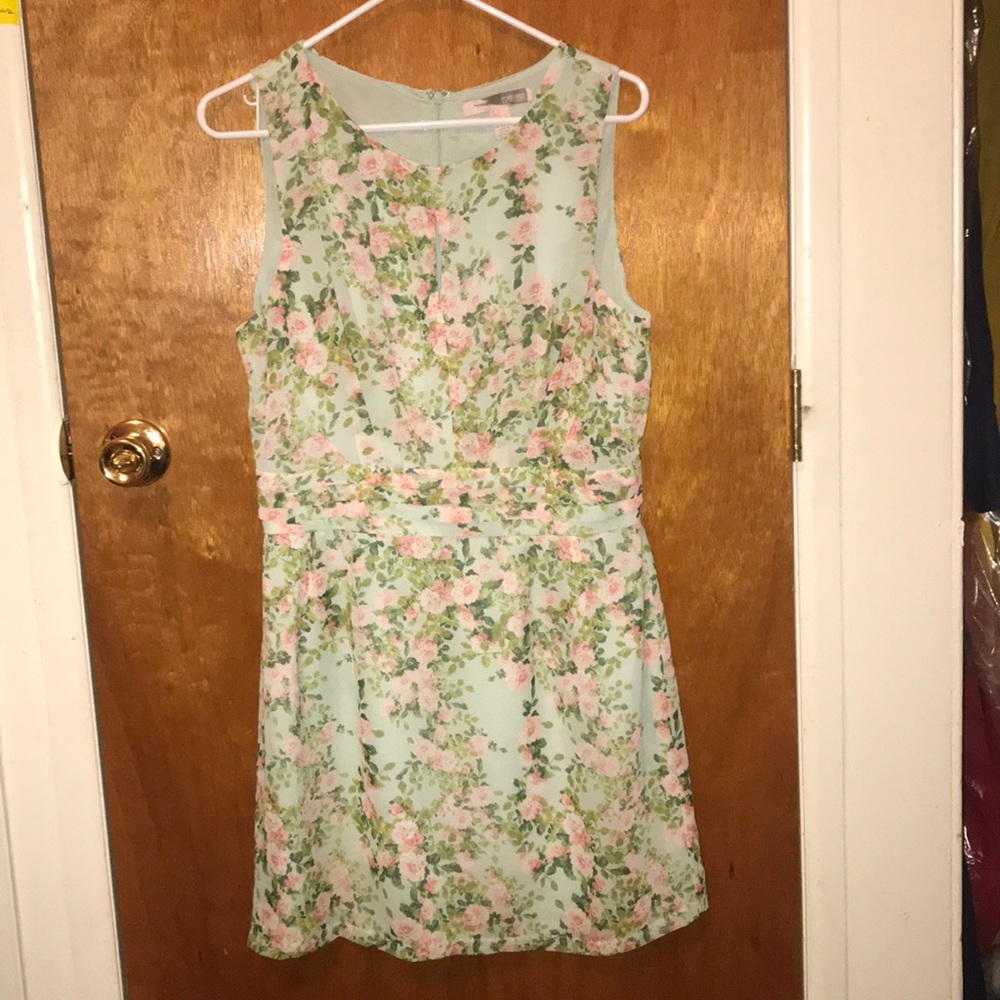 Pink & blue floral Forever 21 Dress Large